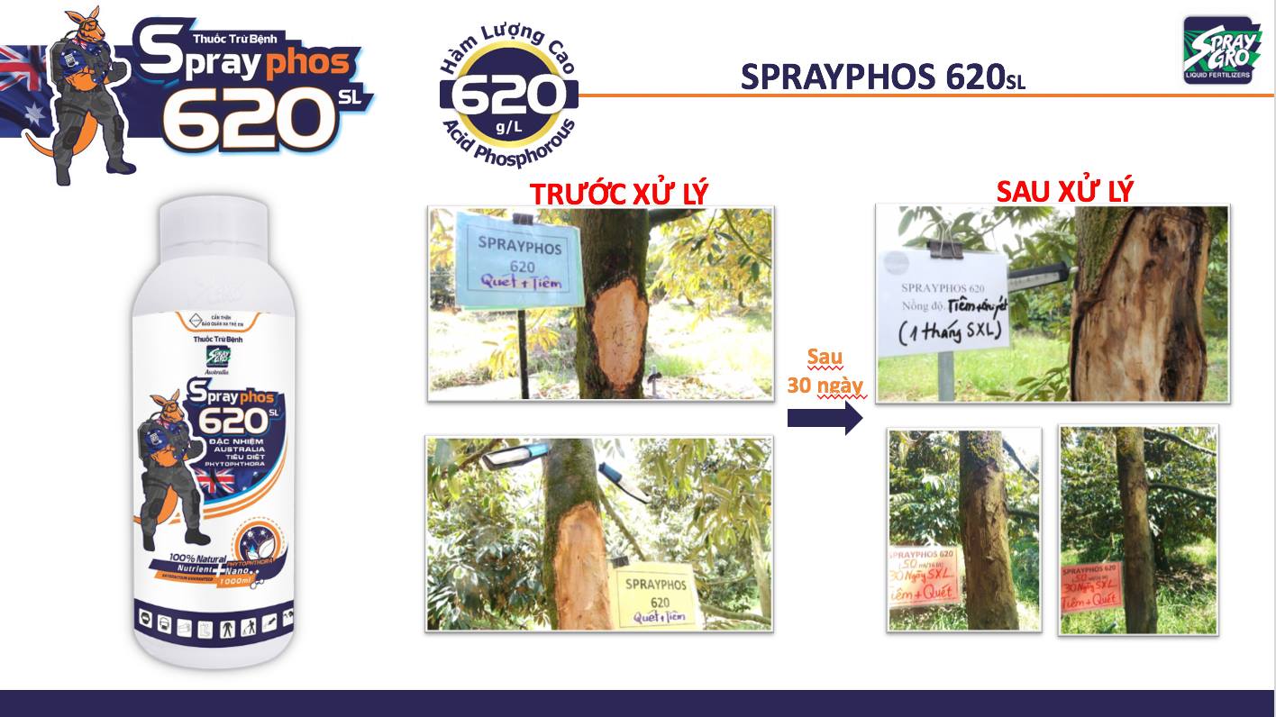 Thuốc trừ bệnh SprayPhos 620SL - Chai 1 lít